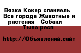 Вязка Кокер спаниель - Все города Животные и растения » Собаки   . Тыва респ.